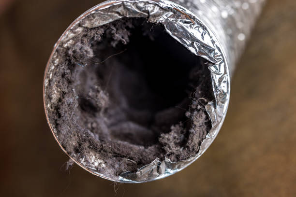 Best Commercial HVAC Duct Cleaning  in Bellbrook, OH